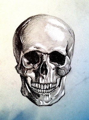 Montana Jade - Anatomical Study
