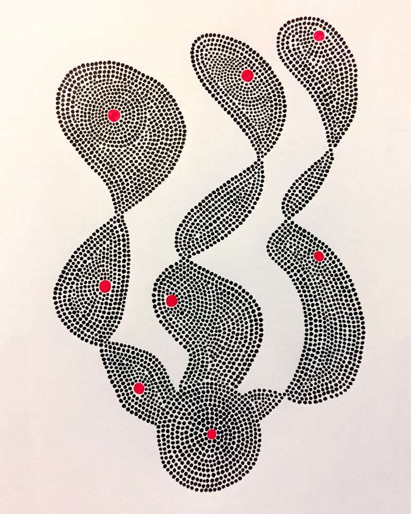Debashish Chakrabarty -