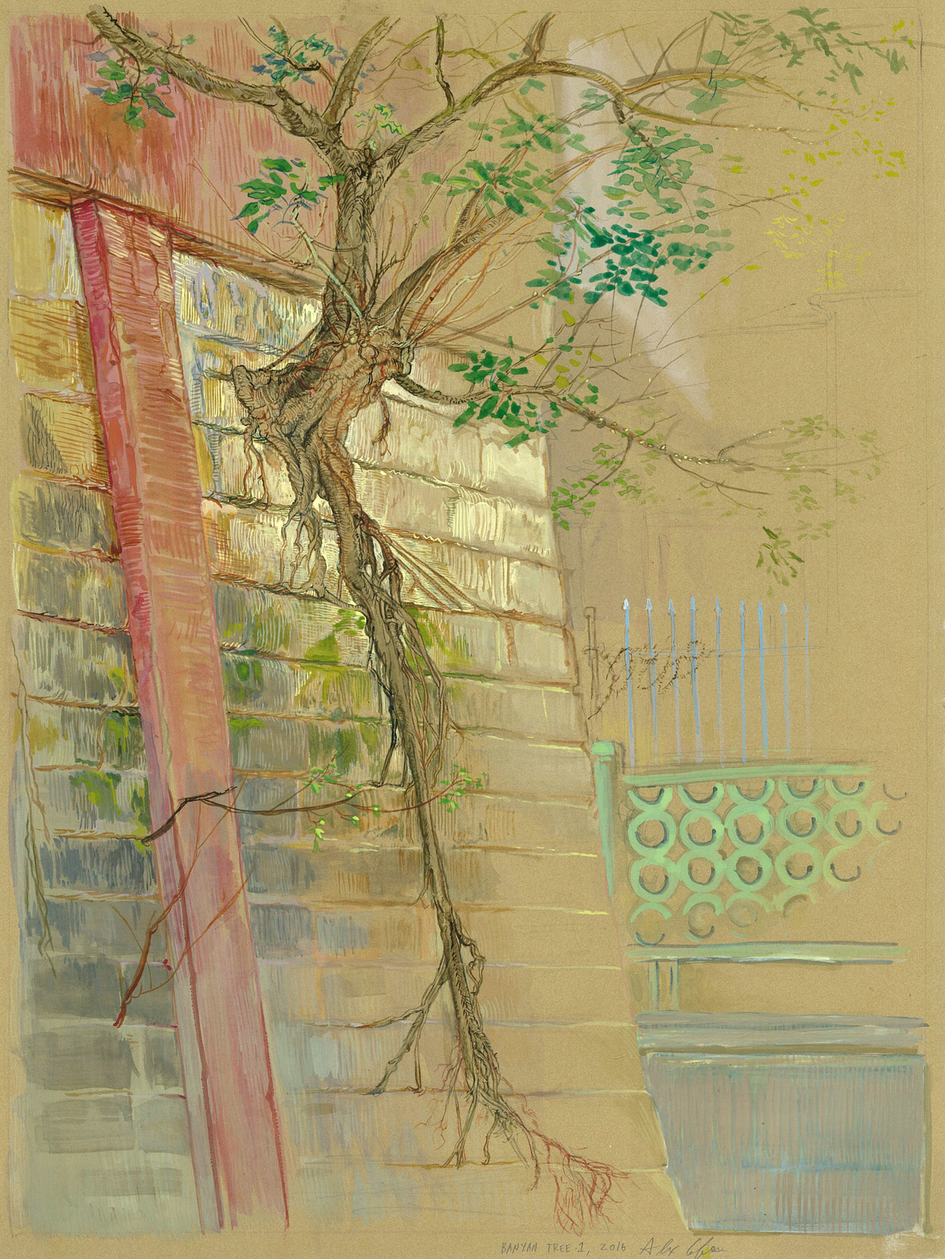 Alex Confer - Banyan Tree 2, 2016