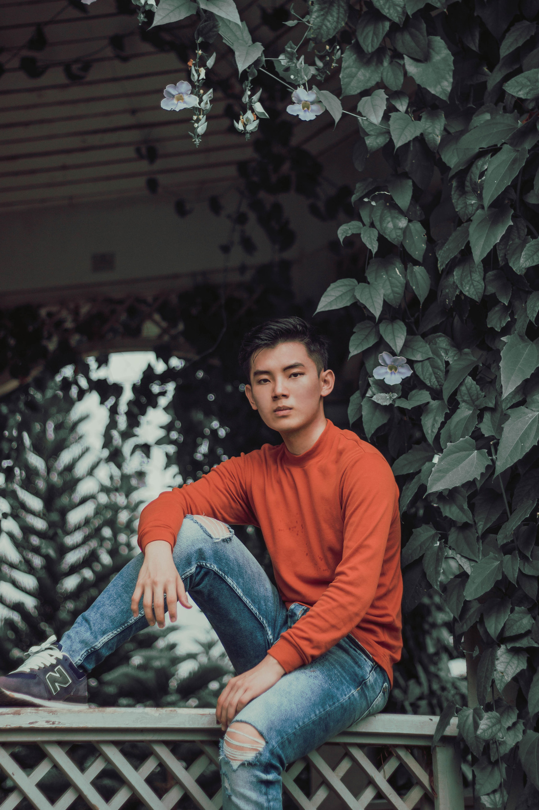 Wu Li Yang Woo Li Yang